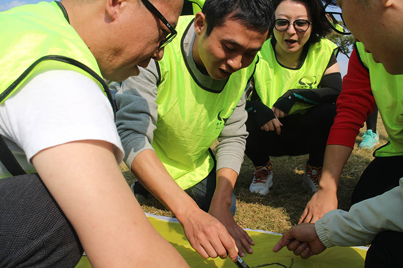 團(tuán)隊(duì)互動(dòng)交流中